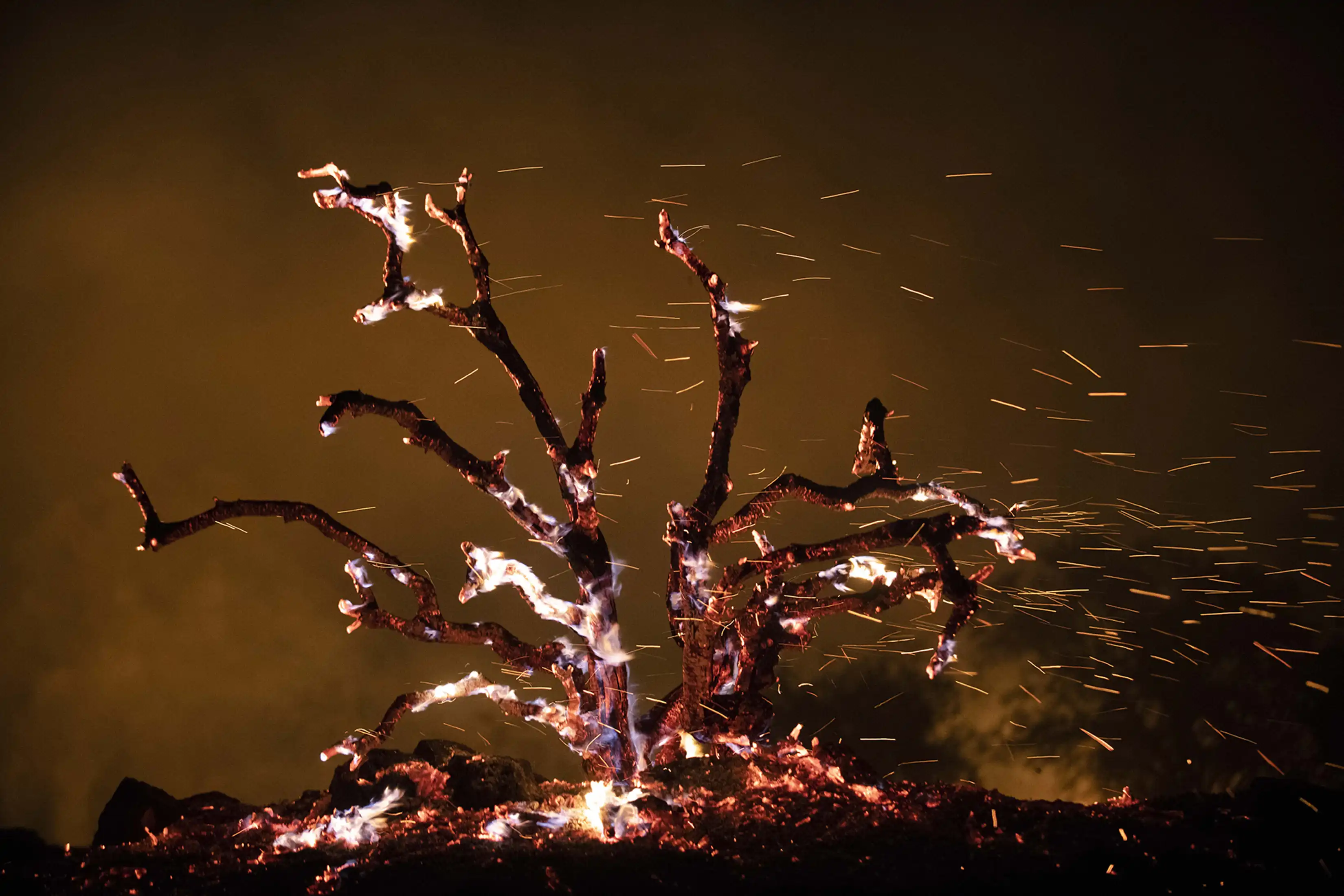 Night of Fire photography project by Amir Jadidi